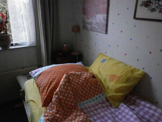 Bed and Breakfast de Witte Reiger - Bloemen kamer