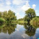 B&B Swaluw's kiek