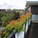 B&B Strand & Cultuur