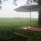 Countryside - Greenwoods