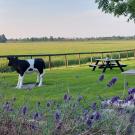 B&B Lyts mar Smûk