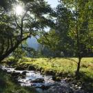 The Conscious Farmer Bed and Breakfast