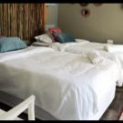 Woodpecker Guest House