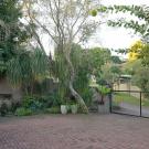 Son Heuwel BB - B&B room