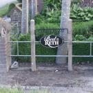 Bed op de Reth
