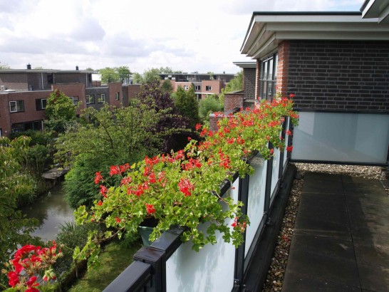 B&B Strand & Cultuur