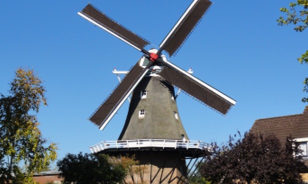 B&B Bosryck Eelen