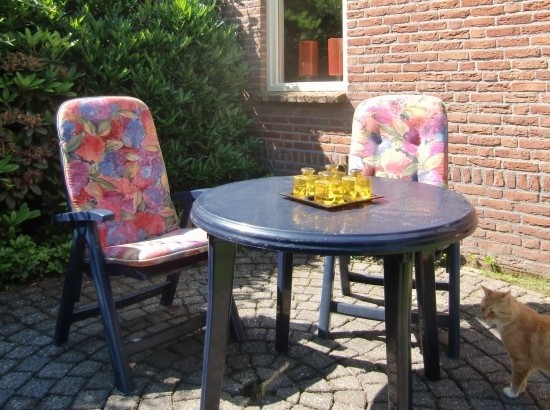 De Paddestoel