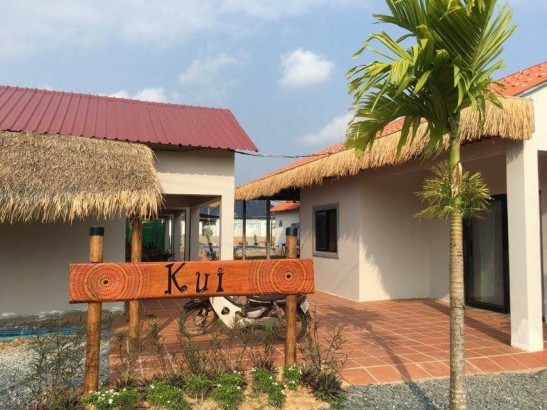 Kui