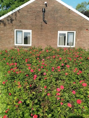 De Rozentuin en Het Veluuws huisje