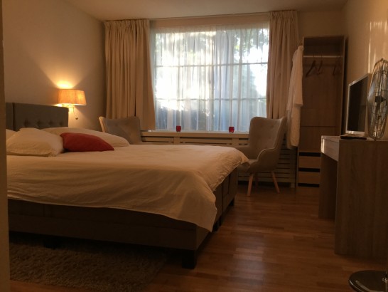 Bed and Breakfast De Haen - Luxe appartement (60m2)