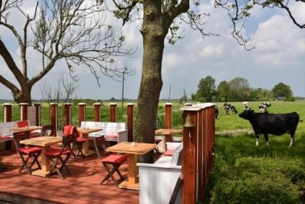 Countryside - Greenwoods