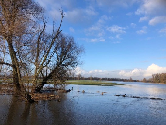 Slapen op de Waal
