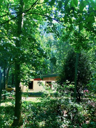 Boshuisje