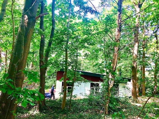 Boshuisje