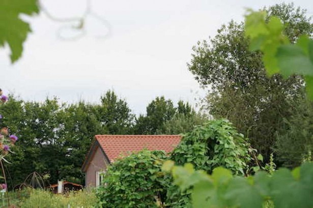 Landhoeve Vakantiehuis