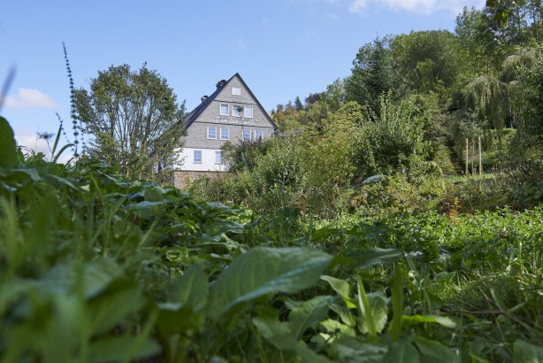 The Conscious Farmer Bed and Breakfast
