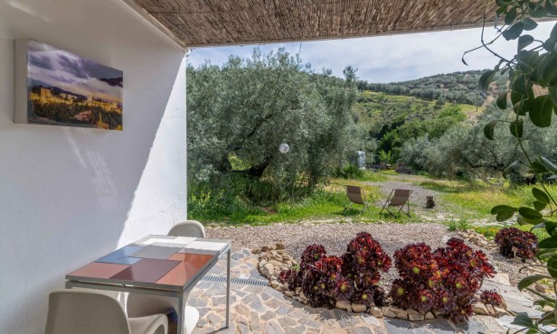 Casa Valle de Oro - Casita Olivo