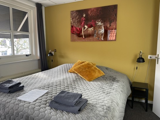 Hotel B&B Willemstad - Kamer (3)